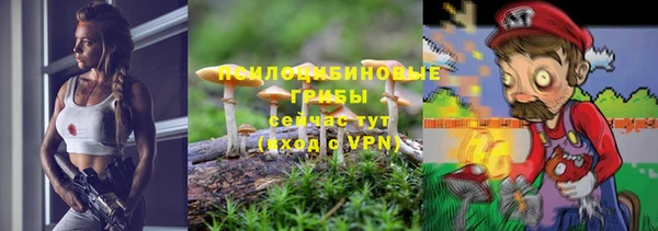 бошки Пересвет