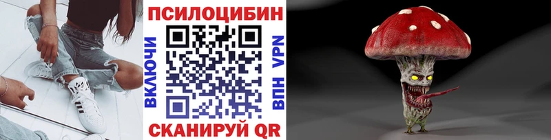 Галлюциногенные грибы Cubensis  Астрахань 