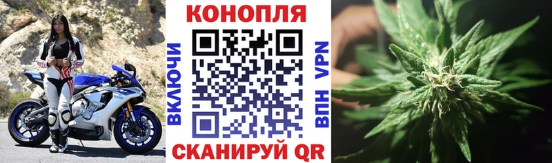 Шишки марихуана VHQ  купить закладку  Астрахань 